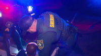 Cops S36E14 720p WEB h264-BAE EZTV
