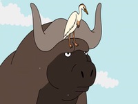 Adventure Beast S01E01 480p x264-mSD EZTV