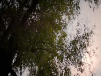 The Weekly S01E29 480p x264-mSD [eztv]