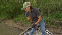 Swamp People S12E09 720p HEVC x265-MeGusta EZTV