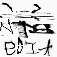 [art rock, experimental] (2020) Still House Plants - Fast Edit [FLAC] [DarkAngie]