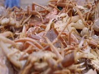 Deadliest Catch S18E07 480p x264-mSD EZTV Deadliest Catch S18E07 480p x264-mSD EZTV