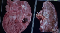 Bones S12E08 HDTV x264-FLEET[eztv]