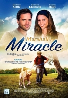 Marshall's Miracle (2015) 720p Web X264 Solar