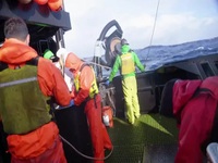 Deadliest Catch S18E10 480p x264-mSD EZTV Deadliest Catch S18E10 480p x264-mSD EZTV