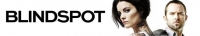 Blindspot S04E09 HDTV x264-SVA[TGx]