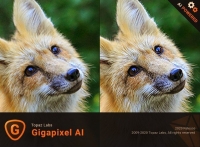 Topaz Gigapixel AI 5.4.2 (x64) [FileCR]
