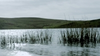 Hunting Fish S01E03 720p WEB h264-DOCiLE EZTV Hunting Fish S01E03 720p WEB h264-DOCiLE EZTV