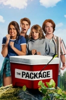 The Package 2018 1080p WEBRip x264-METCON[TGx]