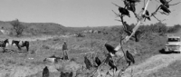 Hud (1963) [BluRay] [720p] [YTS] [YIFY]