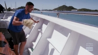 Below Deck S08E07 XviD-AFG EZTV Below Deck S08E07 XviD-AFG EZTV