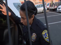 Cops S35E06 480p x264-mSD EZTV