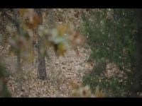 HuntCo S02E04 INTERNAL 480p x264-mSD [eztv]