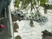 Swamp People S14E14 480p x264-mSD EZTV Swamp People S14E14 480p x264-mSD EZTV