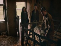 All Creatures Great And Small 2020 S03E05 480p x264-mSD EZTV