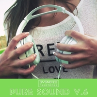 VA - Pure Sound Vol.6 (2019) [320Kbps]