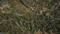 Alaska The Last Frontier S08E06 WEB x264-TBS [eztv]