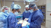 Botched S07E11 1080p WEB h264-WEBTUBE EZTV Botched S07E11 1080p WEB h264-WEBTUBE EZTV