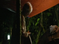 Nature S39E05 Protecting Primates 480p x264-mSD EZTV
