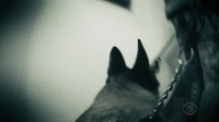SEAL Team S02E05 HDTV x264-SVA [eztv]