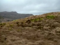 Nova S47E08 Eagle Power 480p x264-mSD [eztv]