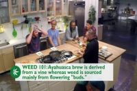 Cooking on High S01E05 WEB x264-STRiFE[eztv]