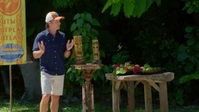 Survivor S41E03 720p HEVC x265-MeGusta EZTV