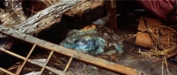Mothra vs Godzilla (1964) [BluRay] [720p] [YTS] [YIFY]