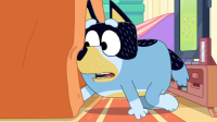 Bluey S03E38 XviD-AFG EZTV
