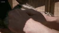 Scottish Vets Down Under S01E03 XviD-AFG EZTV