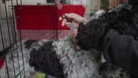 Barkley Manor S02E07 XviD-AFG EZTV Barkley Manor S02E07 XviD-AFG EZTV