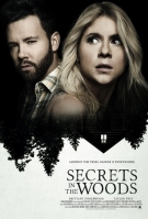 Secrets In The Woods 2020 Lifetime 720p HDTV X264 Solar