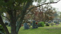 Interrogation Raw S02E09 1080p WEB h264-EDITH EZTV Interrogation Raw S02E09 1080p WEB h264-EDITH EZTV
