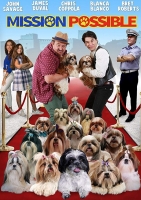 Mission Possible (2018) 720p Web X264 Solar