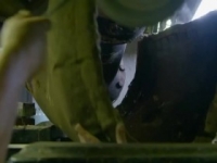 Deadliest Catch S15E07 480p x264-mSD [eztv]