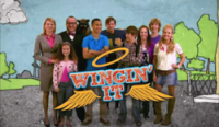 Wingin' It Complete Series {SystemsDown}