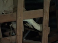 American Pickers S24E04 480p x264-mSD EZTV