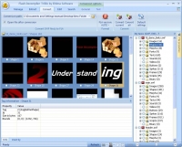 Flash Decompiler Trillix 3.0.3.470 + Crack [h33t] [Original]
