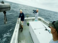 Wicked Tuna S10E12 480p x264-mSD EZTV Wicked Tuna S10E12 480p x264-mSD EZTV