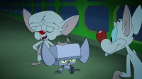 Animaniacs 2020 S01E04 720p HEVC x265-MeGusta EZTV Animaniacs 2020 S01E04 720p HEVC x265-MeGusta EZTV