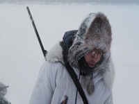 Life Below Zero First Alaskans S02E02 480p x264-mSD EZTV Life Below Zero First Alaskans S02E02 480p x264-mSD EZTV