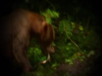 First Blood S01E02 480p x264-mSD EZTV First Blood S01E02 480p x264-mSD EZTV