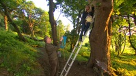 Springwatch S18E04 1080p HEVC x265-MeGusta EZTV Springwatch S18E04 1080p HEVC x265-MeGusta EZTV