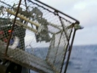 Deadliest Catch S15E11 480p x264-mSD [eztv]