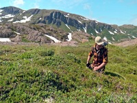Alaska The Last Frontier S11E04 480p x264-mSD EZTV