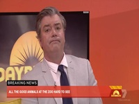 We Interrupt This Broadcast S01E09 480p x264-mSD EZTV We Interrupt This Broadcast S01E09 480p x264-mSD EZTV