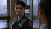 Chicago Fire S09E13 XviD-AFG EZTV