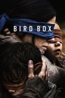 Bird Box 2018 WEBRip 480p x264 AAC-VYTO [P2PDL]
