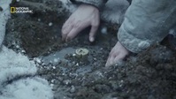 Hitlers Last Stand S04E05 XviD-AFG EZTV Hitlers Last Stand S04E05 XviD-AFG EZTV