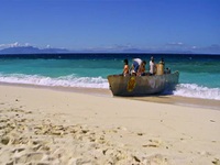 Survivor S44E01 480p x264-mSD EZTV